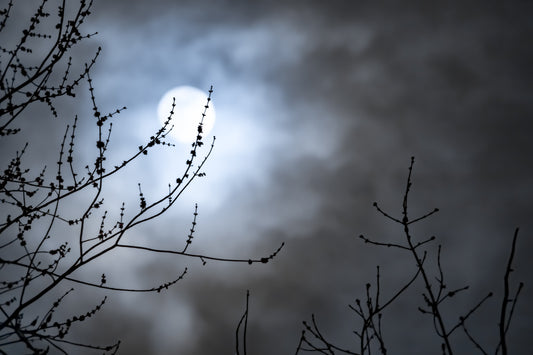 Winter Solstice/Yule: The Shortest Day of the Year