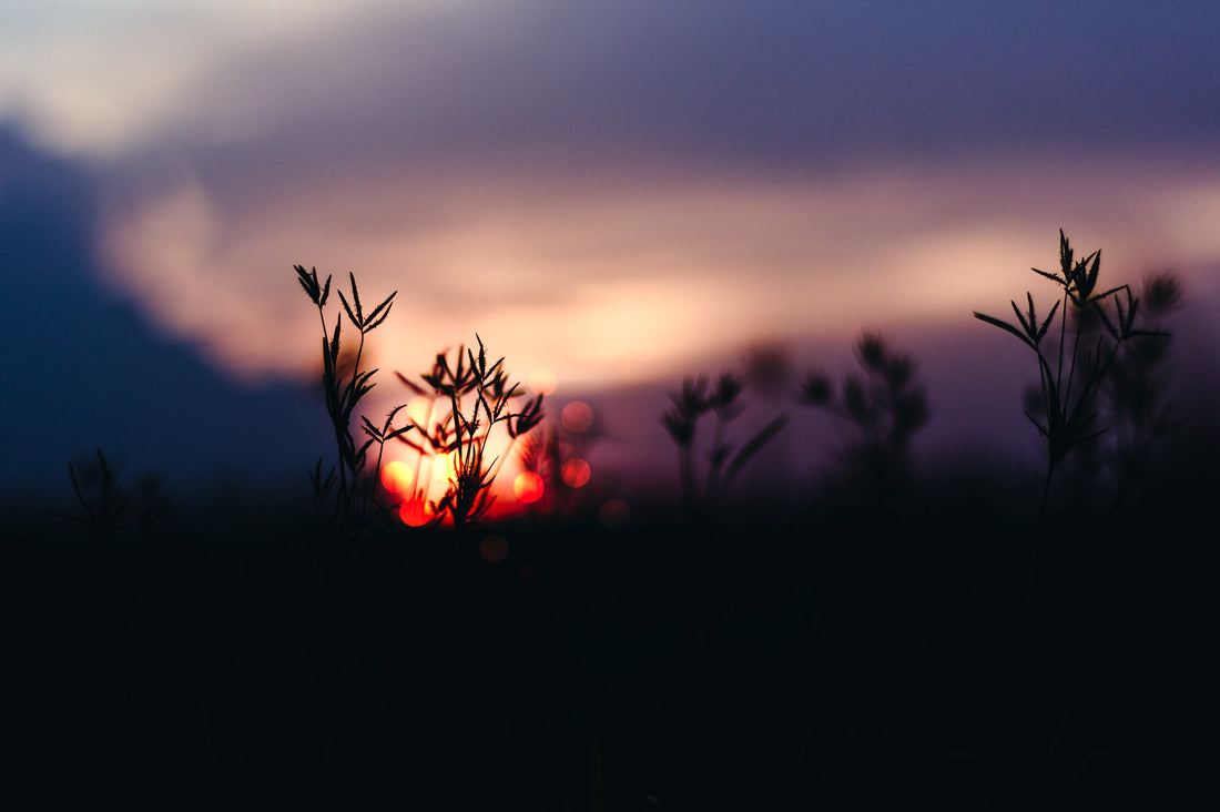 Summer Solstice: History and Rituals