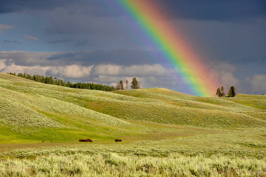 Symbolism of the Rainbow Across the World