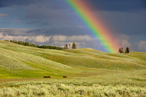Symbolism of the Rainbow Across the World